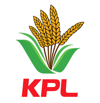 CÔNG TY CỔ PHẦN KIM PHƯƠNG LONG